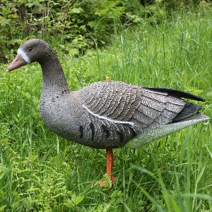 Attrezzatura da caccia per riserva di caccia e outdoor von AKAH Lockvogel Blässgans 71681000